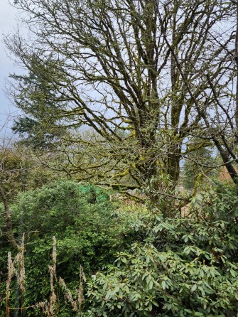 20230304_142509_resized